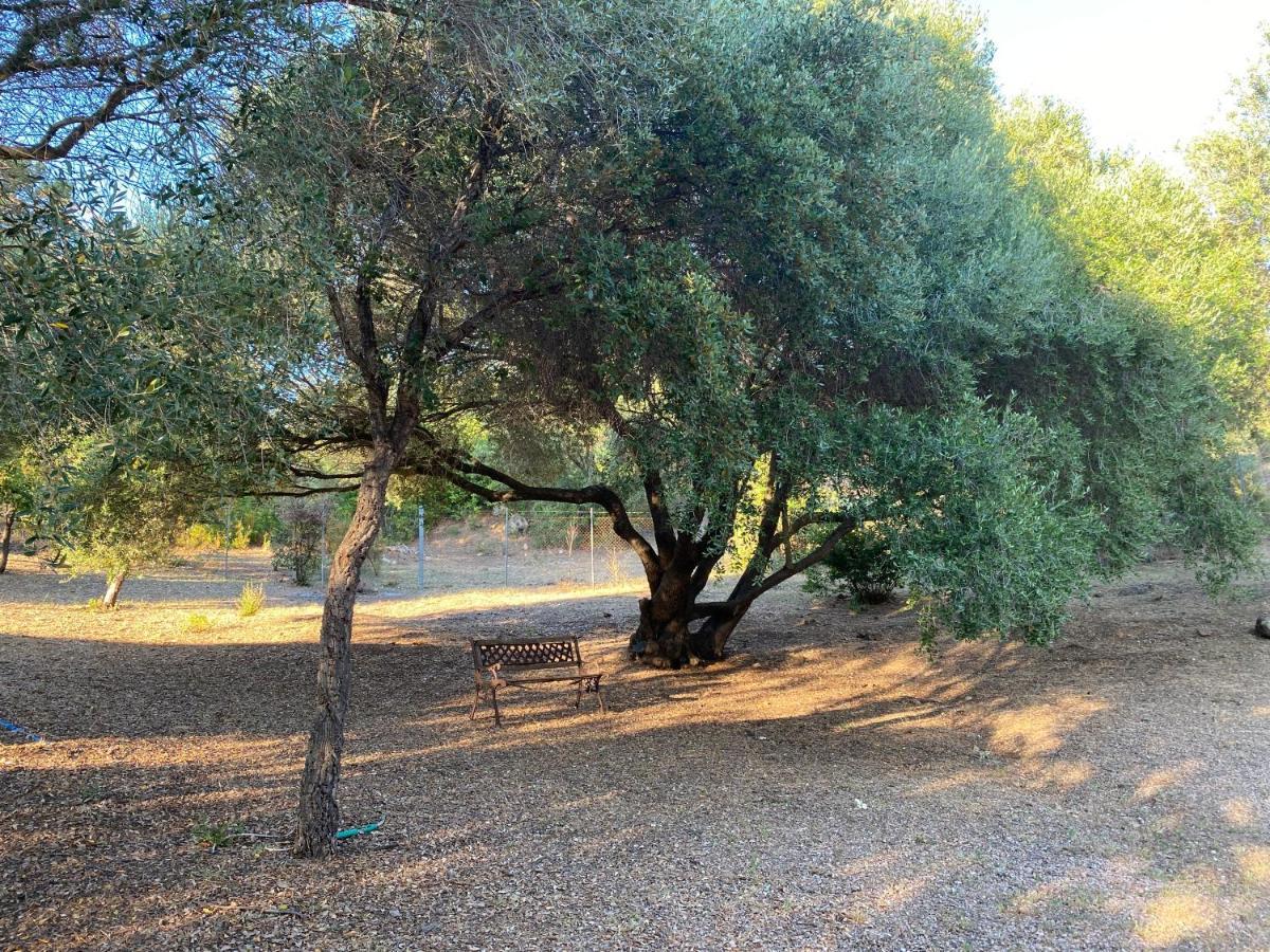 Li Paduleddi Country Guest House Olbia Exterior foto