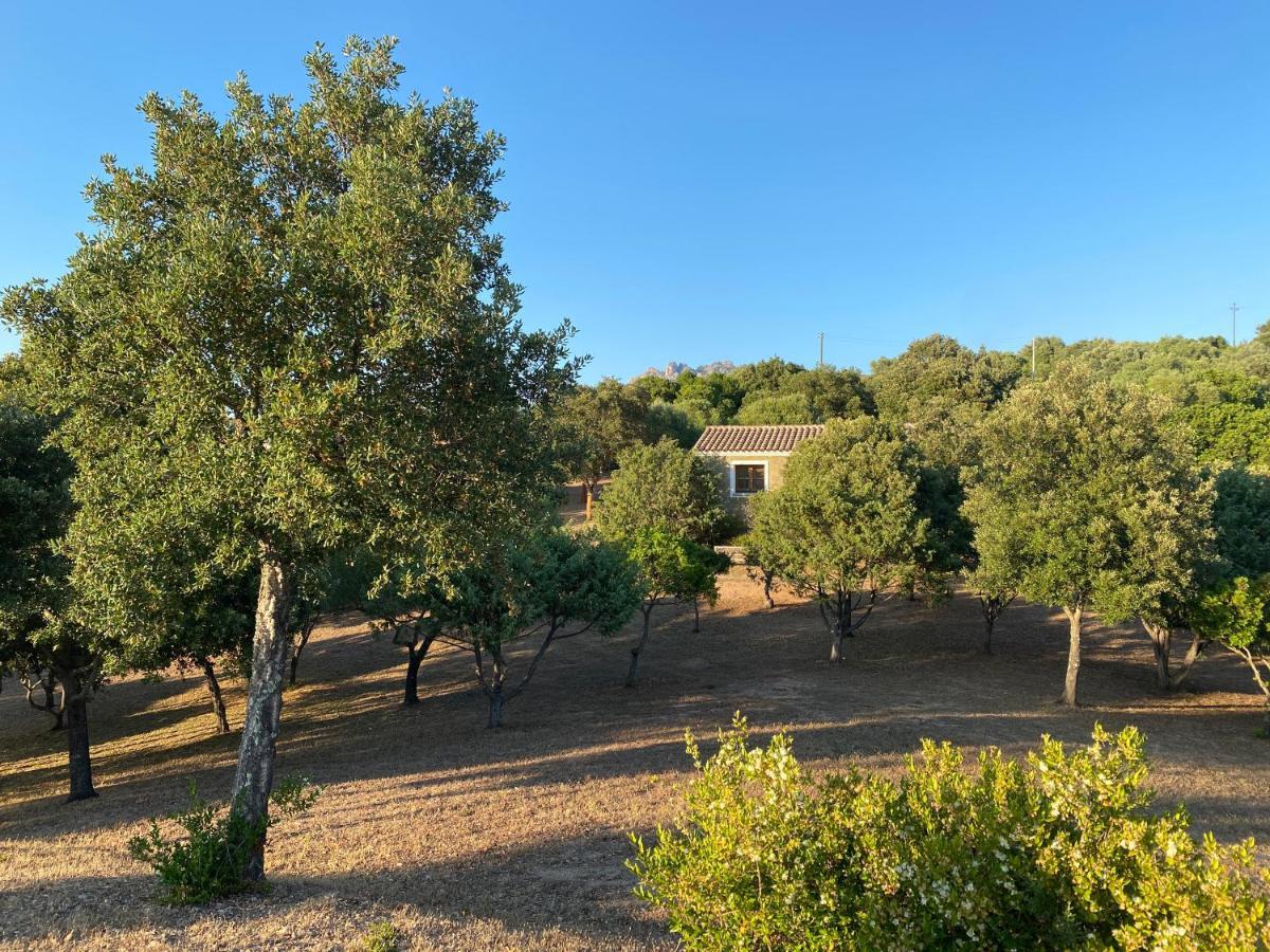 Li Paduleddi Country Guest House Olbia Exterior foto